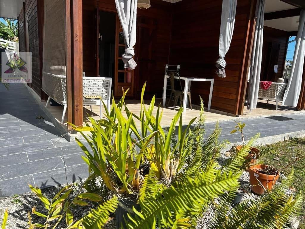 Piscine, Plages Bois Jolan Et Du Bourg, Jardin & Parking Prives, Sainte-Anne - Villas Orchyd & Ka المظهر الخارجي الصورة